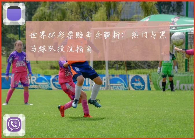 世界杯彩票赔率全解析：热门与黑马球队投注指南