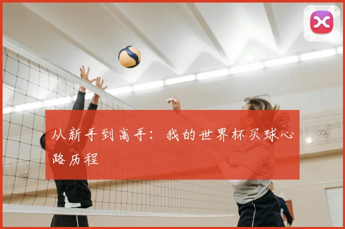 从新手到高手：我的世界杯买球心路历程