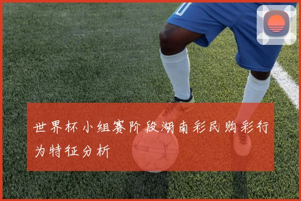 世界杯小组赛阶段湖南彩民购彩行为特征分析