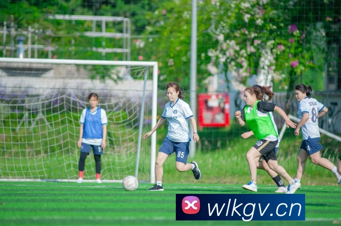 乐鱼网页版在线登录官网平台生态图