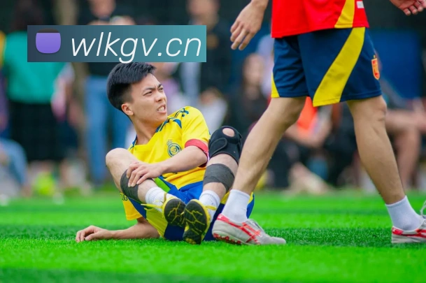 乐鱼网页版在线登录官网APP 封面图