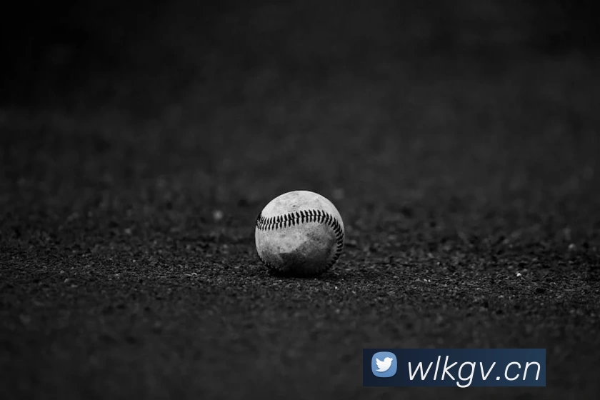 数据防护可视化